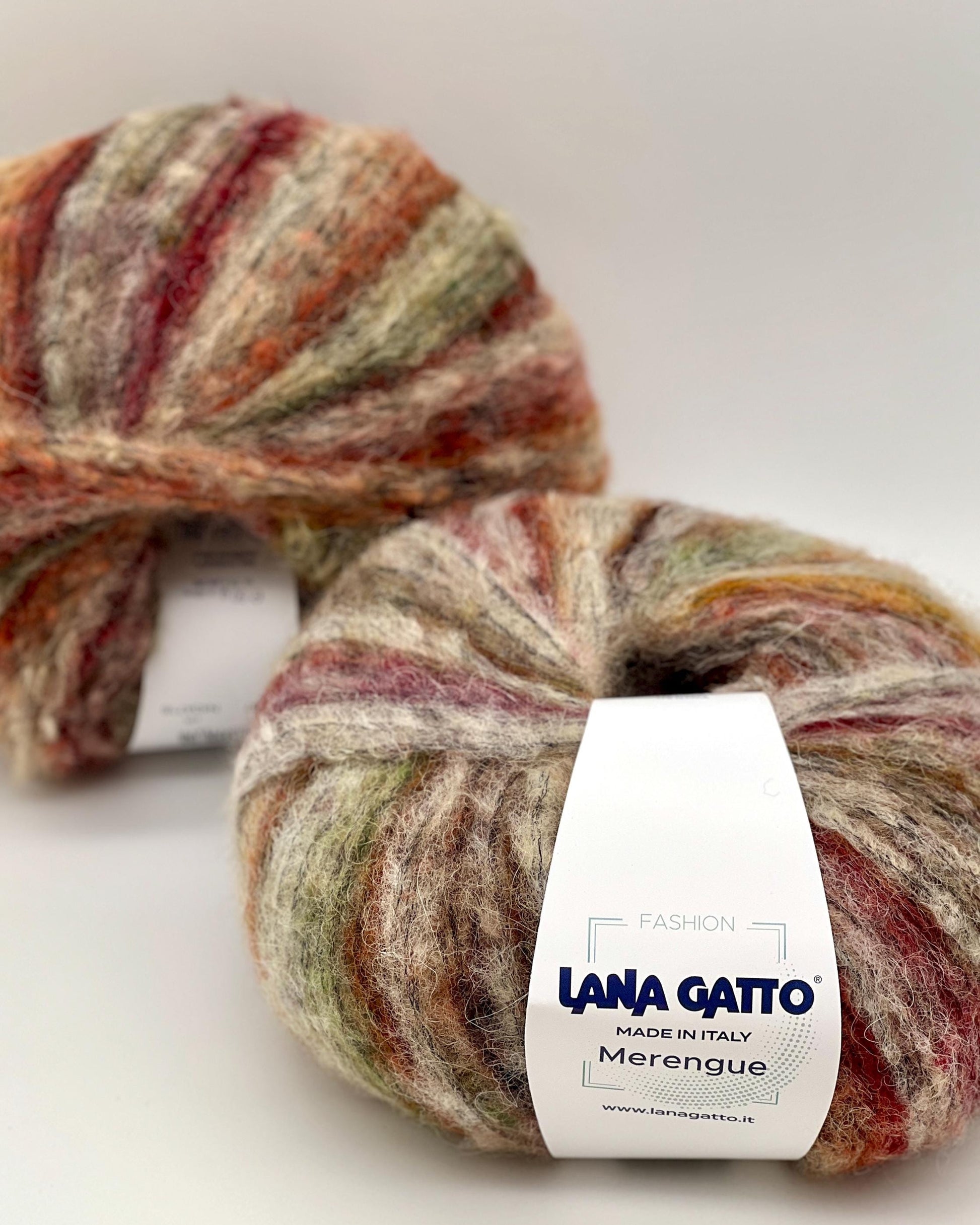 Two skeins of multicolored yarn with a 'Lana Gatto' label on a white background