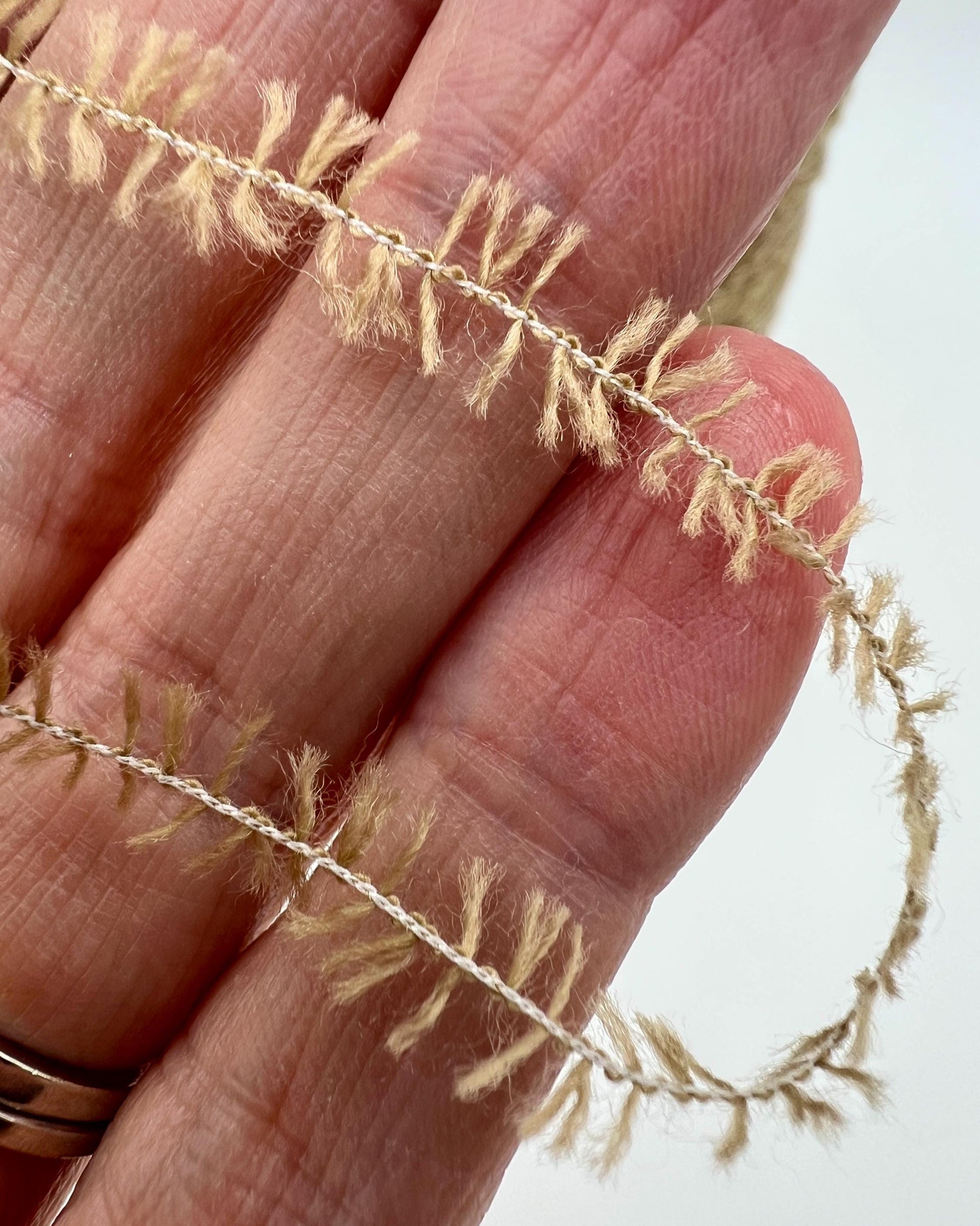 Close-up of a hand holding a delicate, thin branch with small leaves against a light background.