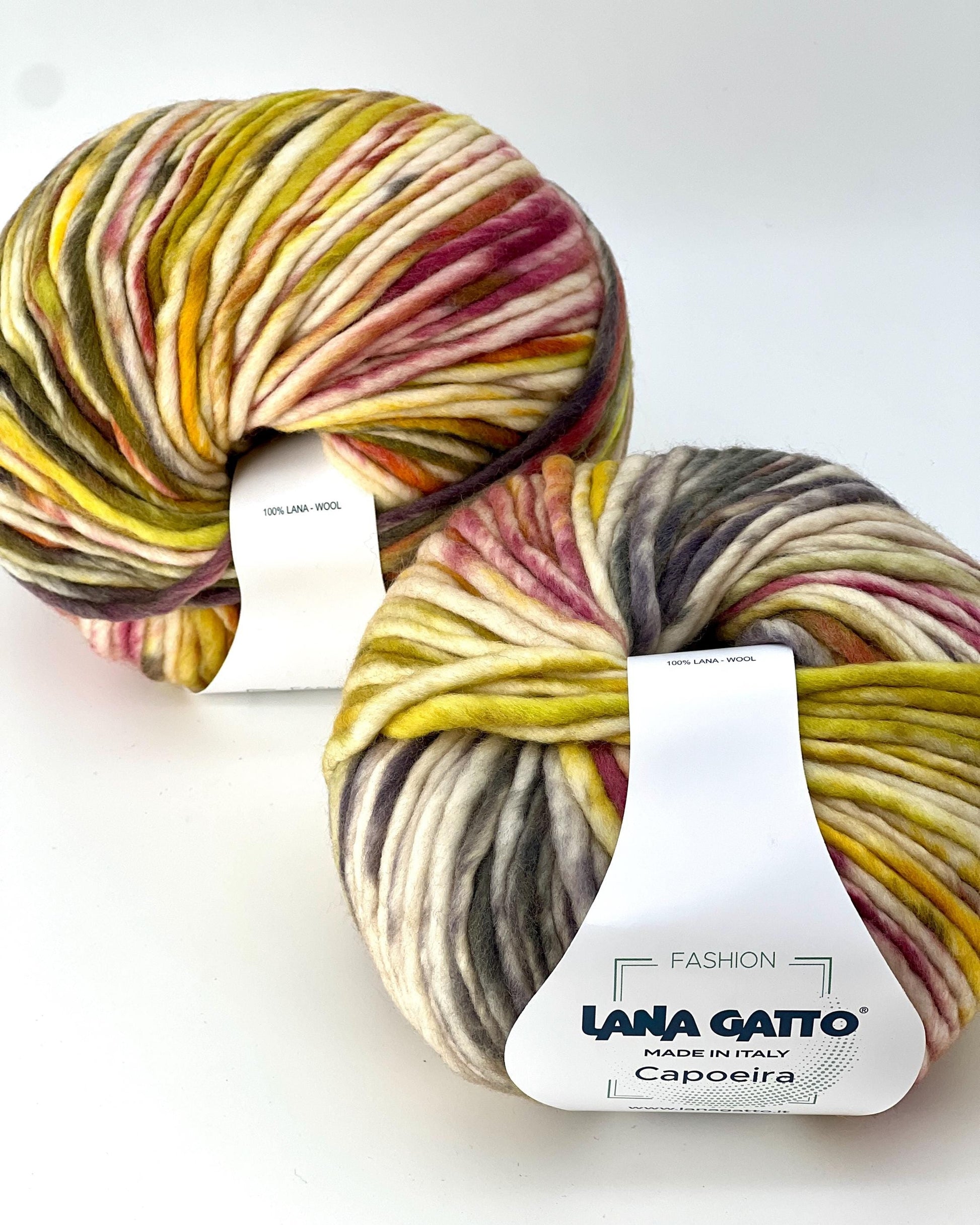 Lana Gatto Capoeira luxurious wool blend super bulky roving yarn from iDOKNiT. Lightweight fluffy Italian-spun multicolor gradient fiber from the Winter 2025 Limited Collection, 100m per 100g skein.