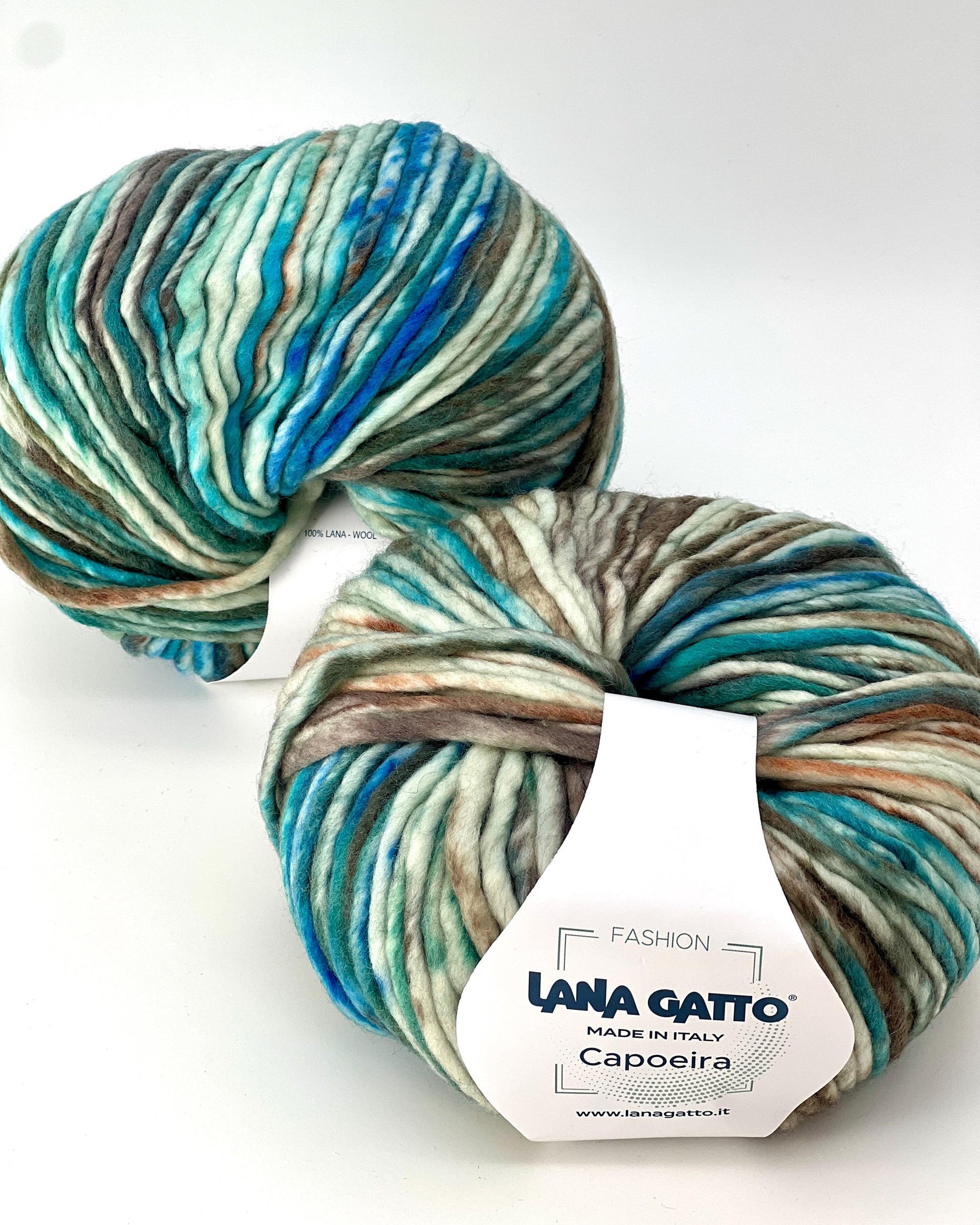 Lana Gatto Capoeira luxurious wool blend super bulky roving yarn from iDOKNiT. Lightweight fluffy Italian-spun multicolor gradient fiber from the Winter 2025 Limited Collection, 100m per 100g skein.