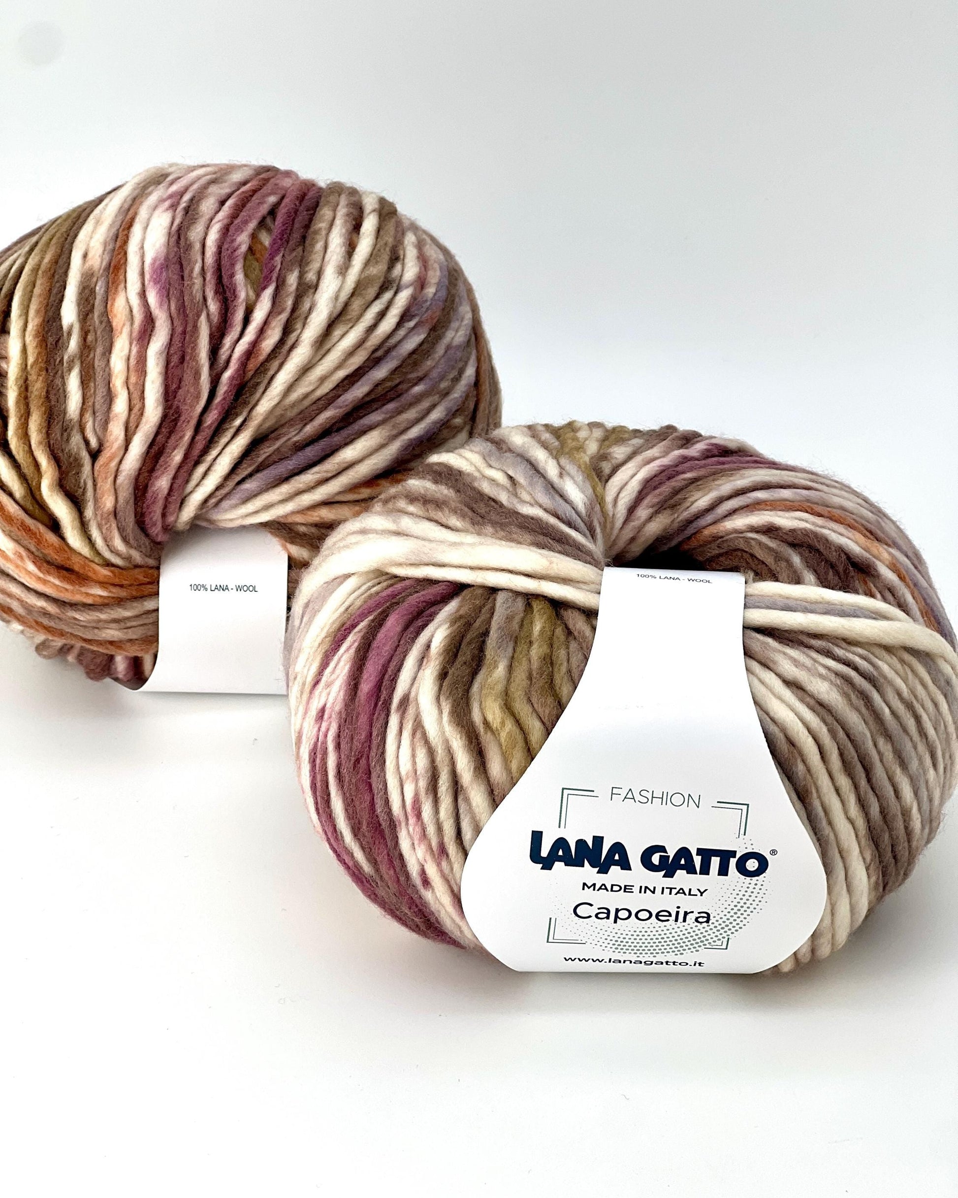 Lana Gatto Capoeira luxurious wool blend super bulky roving yarn from iDOKNiT. Lightweight fluffy Italian-spun multicolor gradient fiber from the Winter 2025 Limited Collection, 100m per 100g skein.