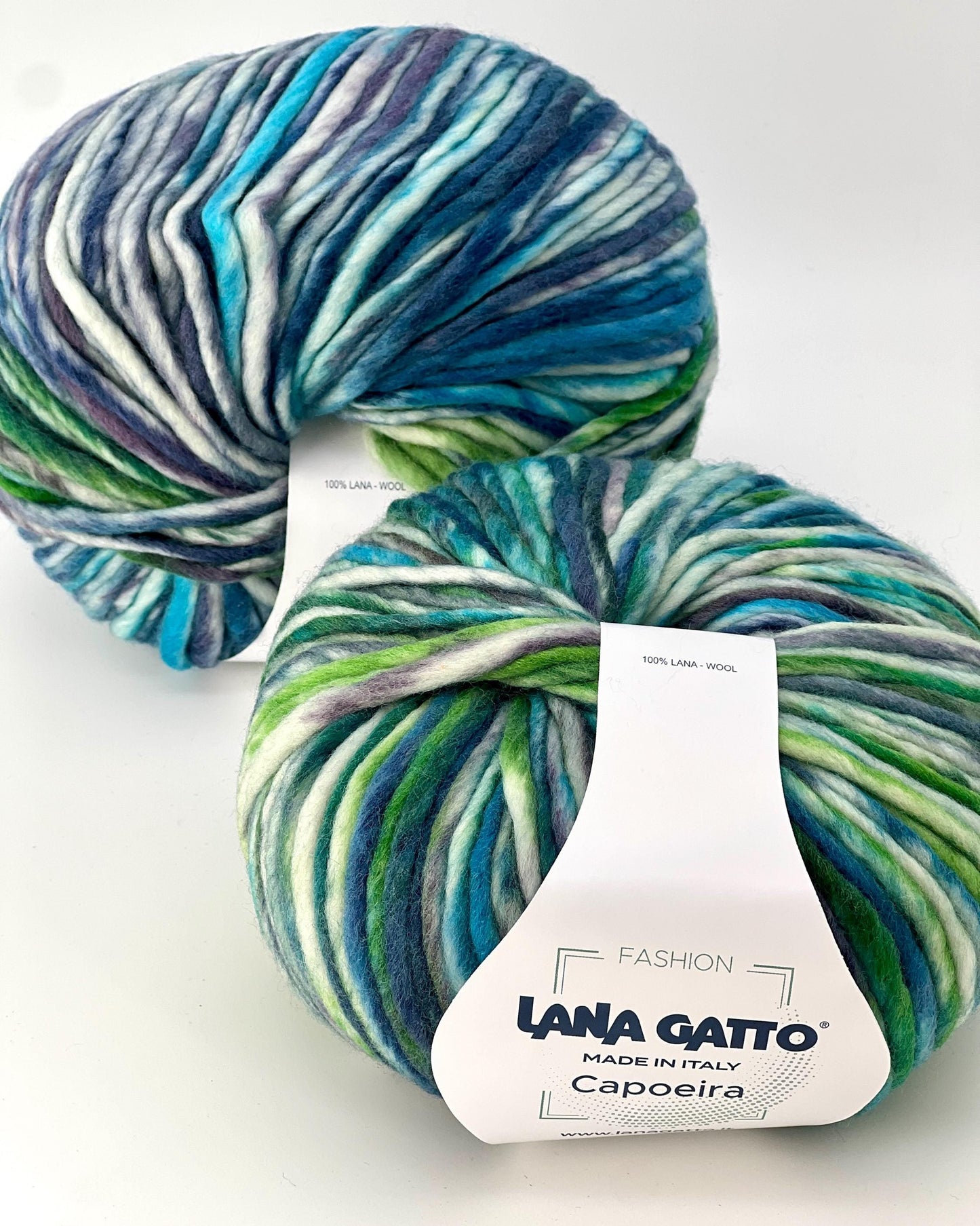 Lana Gatto Capoeira luxurious wool blend super bulky roving yarn from iDOKNiT. Lightweight fluffy Italian-spun multicolor gradient fiber from the Winter 2025 Limited Collection, 100m per 100g skein.